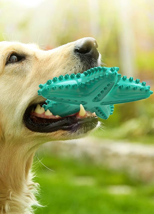 Durable Interactive Dog Toys for Aggressive Chewers - Teething Toothbrush Starfish Design for Small, Medium, and Large Breeds