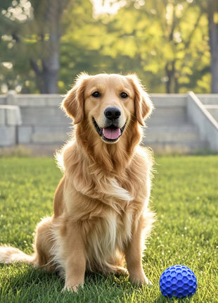 Squeaky Dog Ball - For Large Dogs