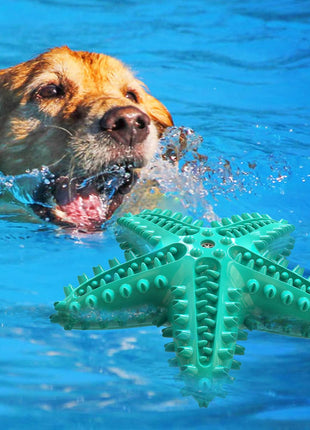 Durable Interactive Dog Toys for Aggressive Chewers - Teething Toothbrush Starfish Design for Small, Medium, and Large Breeds