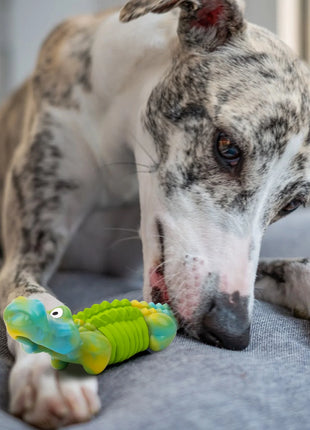 Durable Indestructible Dog Toys for Aggressive Chewers - Bacon Flavor, Green - Ideal for Large Breeds