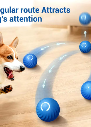 Smart Dog Toy Ball Automatic Electronic Interactive Training Pet Toy Gravitational Moving Ball Rechargeable Active Rolling Ball