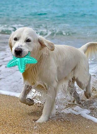 Durable Interactive Dog Toys for Aggressive Chewers - Teething Toothbrush Starfish Design for Small, Medium, and Large Breeds