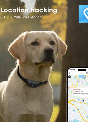 4G GPS Pet Tracker for Dogs & Cats Waterproof  - for iOS Android