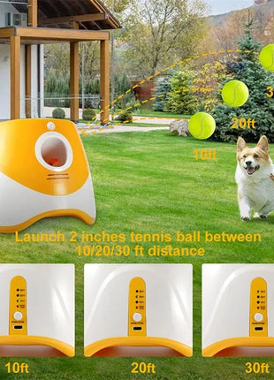 Automatic Catapult Dog Ball Launcher