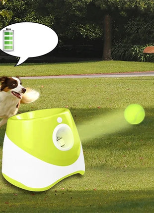 Automatic Catapult Dog Ball Launcher