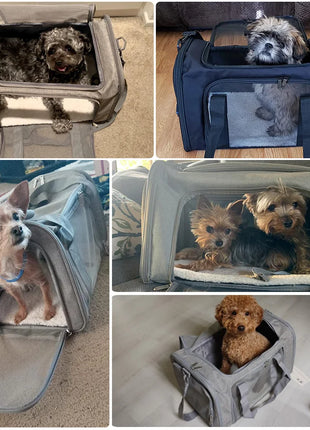 Pet Travel: Pet Carrier for Dogs & Cats