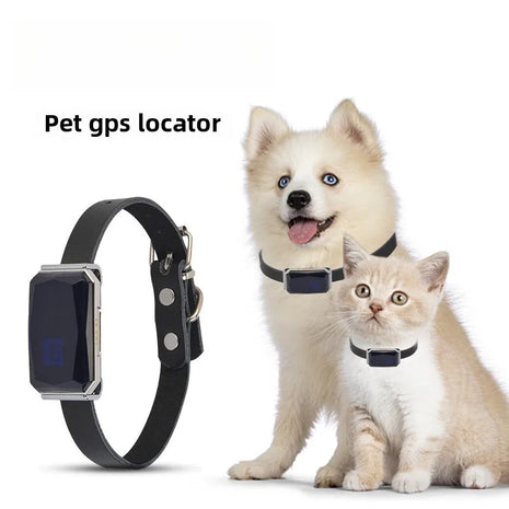 Pet GPS Tracker w/Collar Mini Anti-Waterproof for Cat & Dog