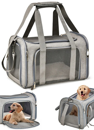 Pet Travel: Pet Carrier for Dogs & Cats