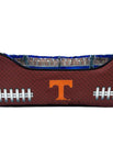 Tennessee Volunteers