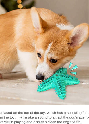 Durable Interactive Dog Toys for Aggressive Chewers - Teething Toothbrush Starfish Design for Small, Medium, and Large Breeds