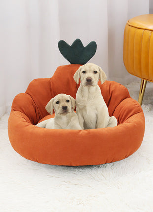 Carrot-Style Dog Bed                         for Small & Medium Dogs