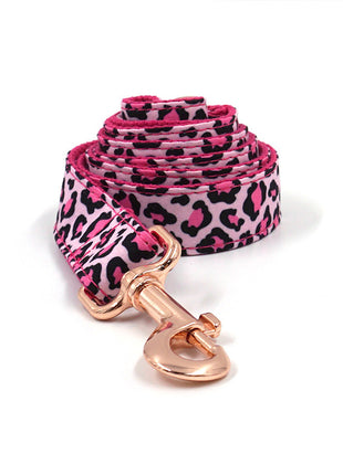 Leopard Rose Gold Pet Collar & Leash