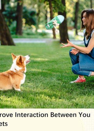 Durable Interactive Dog Chew Toy - Teething Shoe with Squeaker for Small to Medium Breeds, Machine Washable (Green)